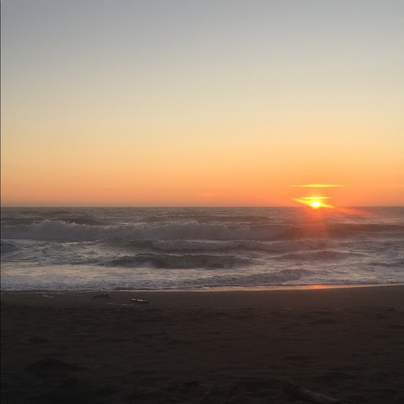 Meet your Posher, Rhea - Picture 1 of 1